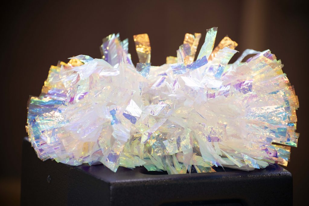 Pompoms Xtrem Cheer à Saint-Etienne